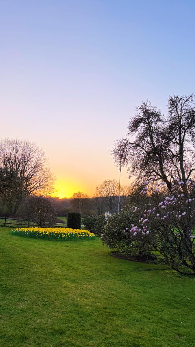 Sommer-Special Ferienhaus Rosenkamp -20%