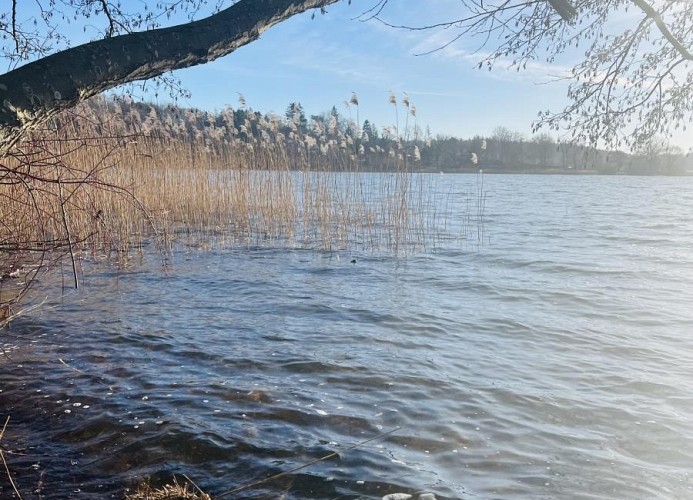 Pönitzer See
