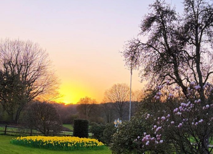 Garten