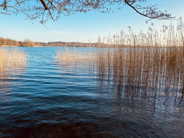 Landhaus am See App. 2