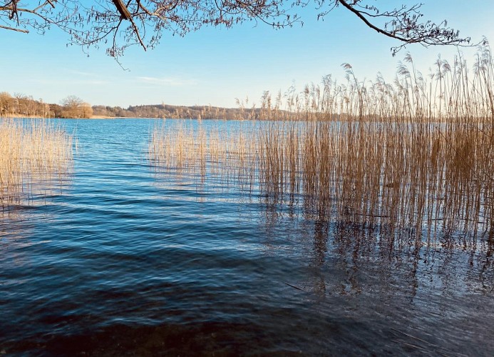 Pönitzer See