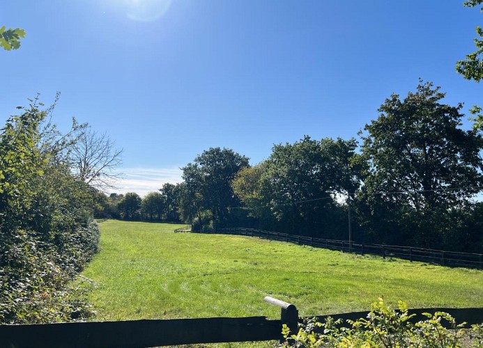 Gästehaus Rosenkamp