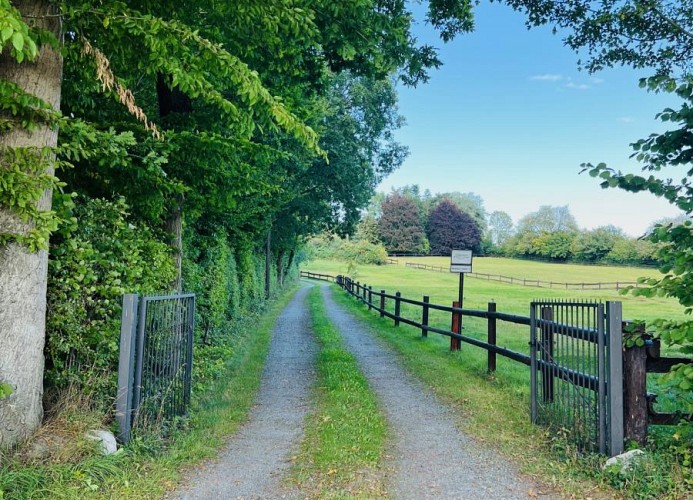 Gästehaus Rosenkamp
