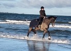 Reiten am Strand