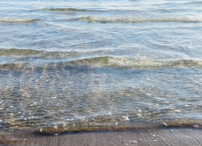 Baltic 13