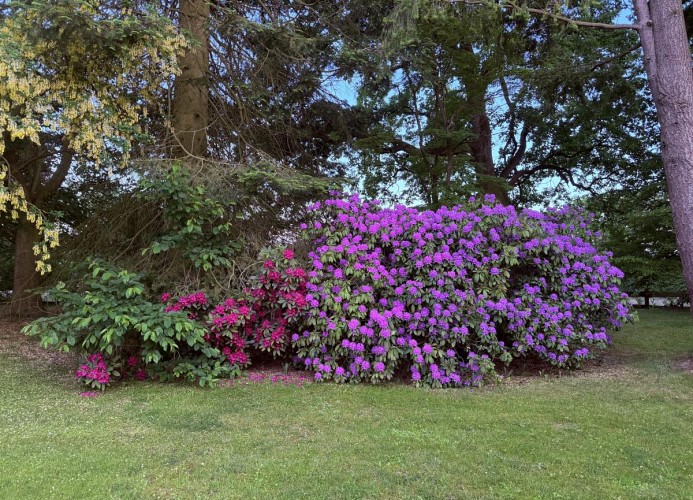 Impressionen 