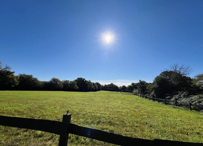 Gästehaus Rosenkamp