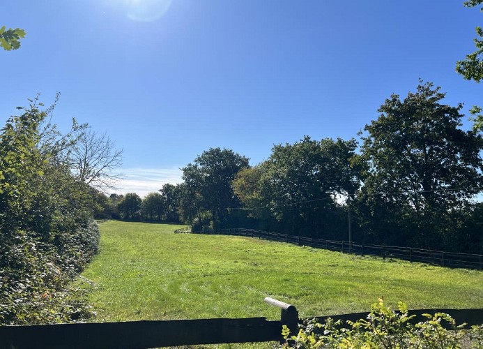 Gästehaus Rosenkamp