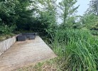 Steg mit Teich