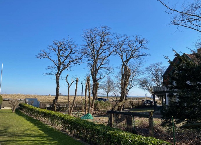 Aussicht vom Balkon zum Strand