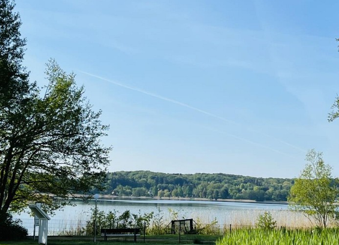 Aussicht zum Pönitzer See