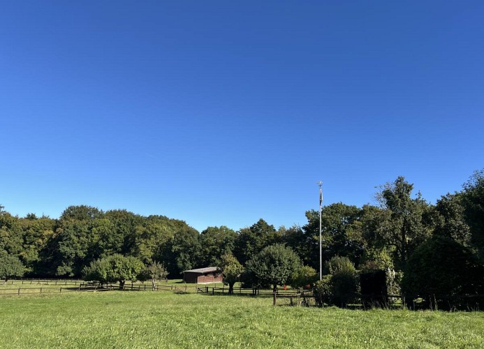 Gästehaus Rosenkamp