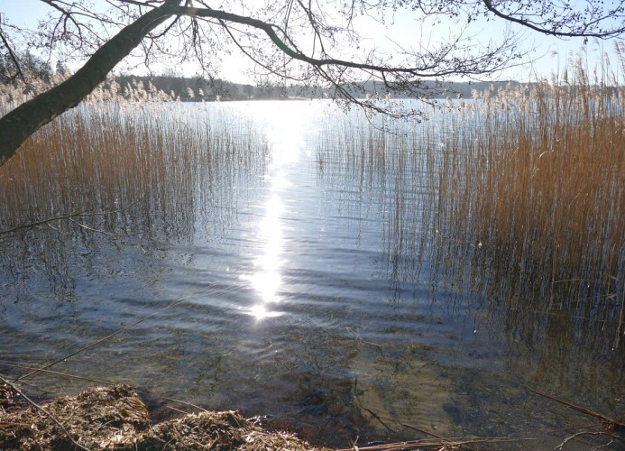 Pönitzer See