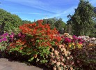 Impressionen 