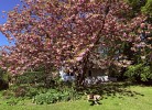 Hausansicht und Garten